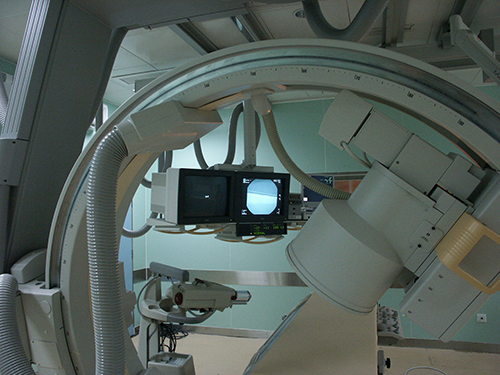 1_09350Ca.JPG