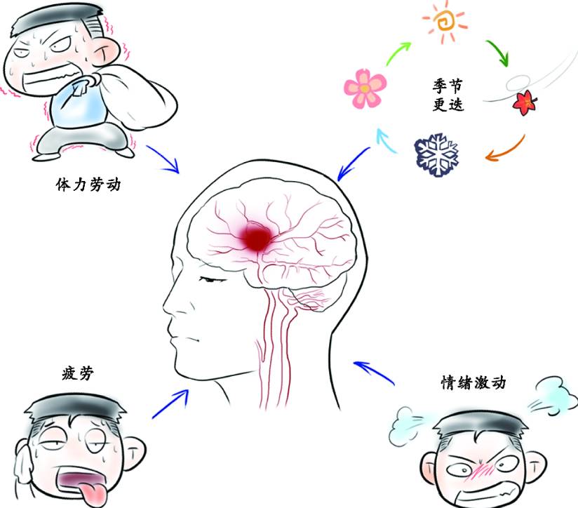 高血压2.jpeg