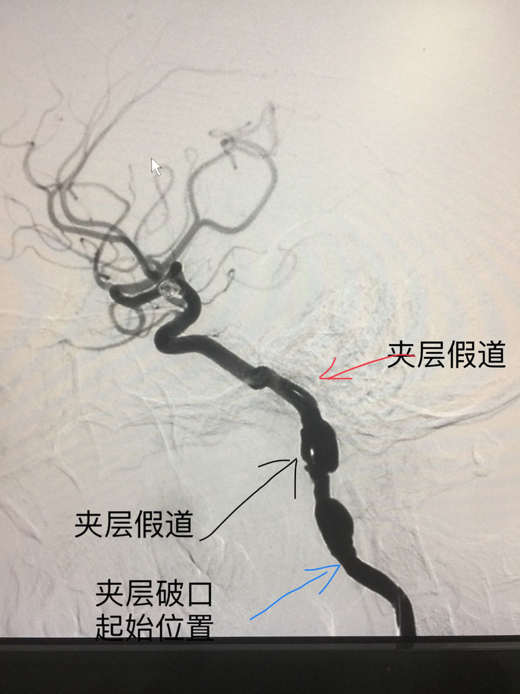 微信图片_20180911165221.jpg